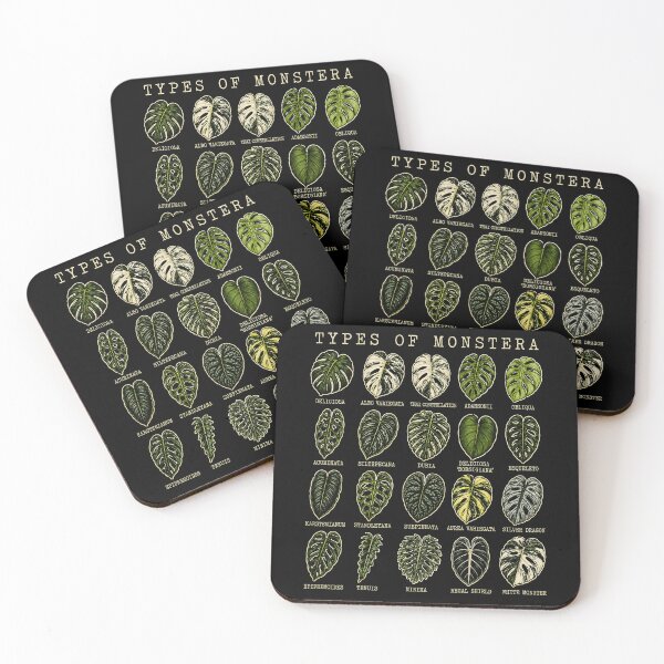 Item preview, Types of Monstera Plant Leaves Art Print designed and sold by rafaeltto.