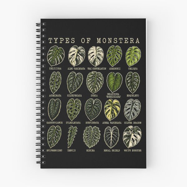 Item preview, Types of Monstera Plant Leaves Art Print designed and sold by rafaeltto.