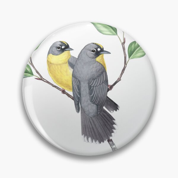 Item preview, Fan-tailed Warbler (Basileuterus lachrymosus) designed and sold by JadaFitch.