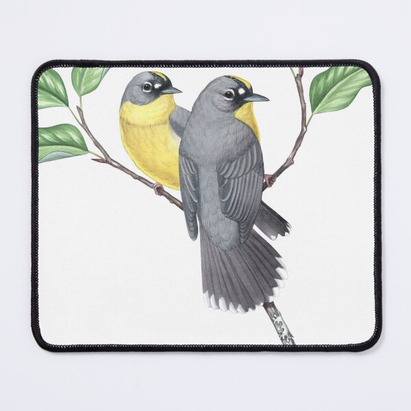 Item preview, Fan-tailed Warbler (Basileuterus lachrymosus) designed and sold by JadaFitch.