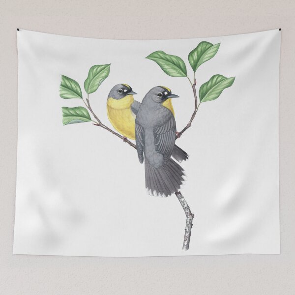 Item preview, Fan-tailed Warbler (Basileuterus lachrymosus) designed and sold by JadaFitch.