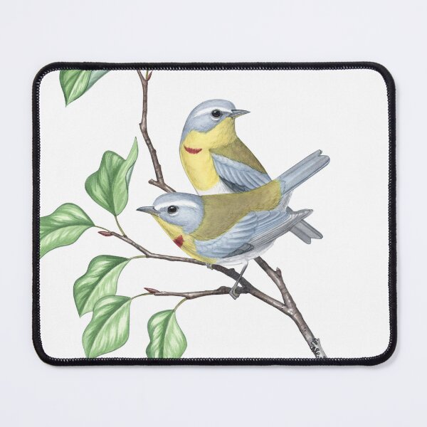 Item preview, Crescent-chested Warbler (Oreothlypis superciliosa) designed and sold by JadaFitch.