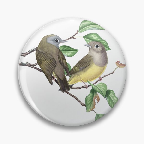 Item preview, Connecticut Warbler (Oporornis agilis) designed and sold by JadaFitch.
