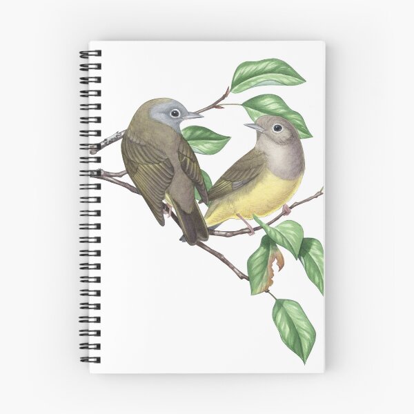 Item preview, Connecticut Warbler (Oporornis agilis) designed and sold by JadaFitch.