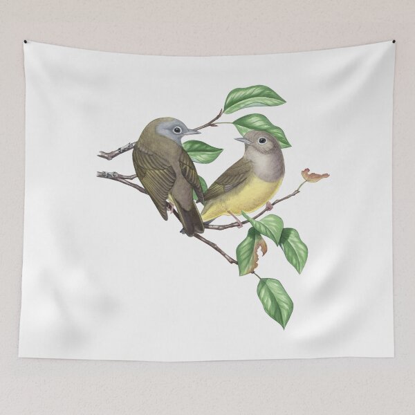 Item preview, Connecticut Warbler (Oporornis agilis) designed and sold by JadaFitch.