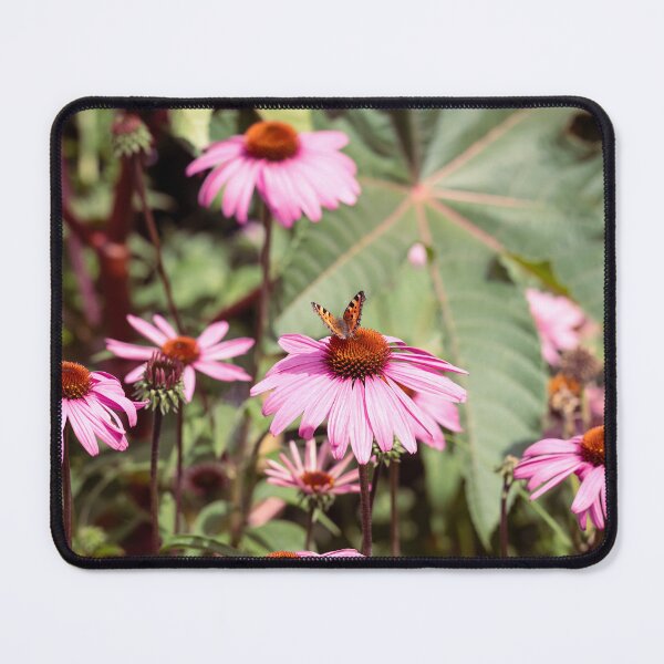 Item preview, Small Tortoiseshell Butterfly On Echinacea designed and sold by Tanya C Smith.