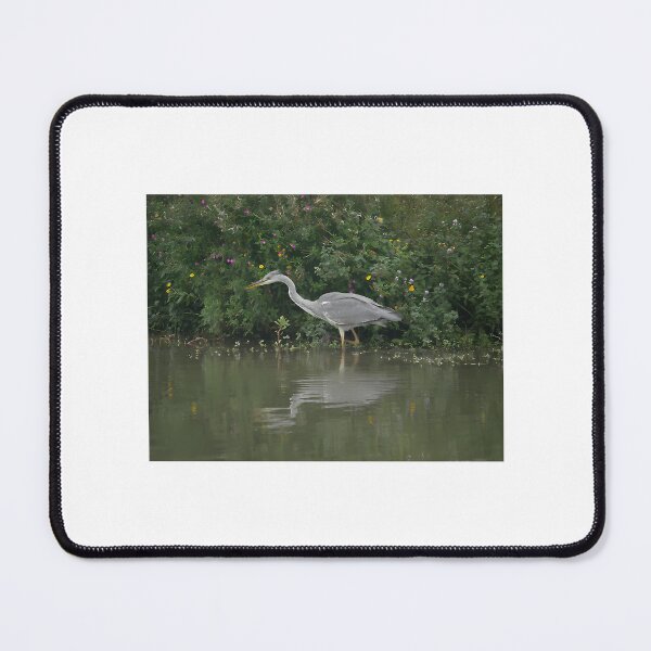 Item preview, Grey Heron designed and sold by kyla-leach.