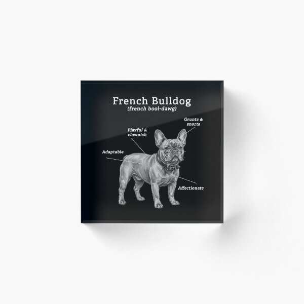 Artikelvorschau, Französische Bulldogge (Schwarz-Weiß-Illustration) entworfen und verkauft von SUP-R-Ts.