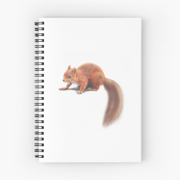Item preview, Red Squirrel designed and sold by kyla-leach.