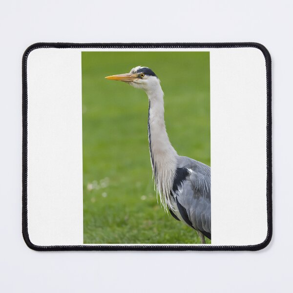 Item preview, The Watchful Heron designed and sold by kyla-leach.