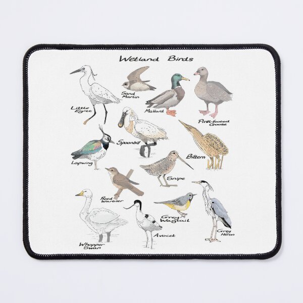 Item preview, Wetland Birds Collections designed and sold by kyla-leach.