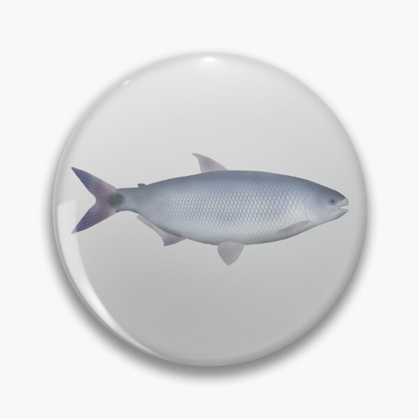 Item preview, Pirapitinga designed and sold by fishfolkart.