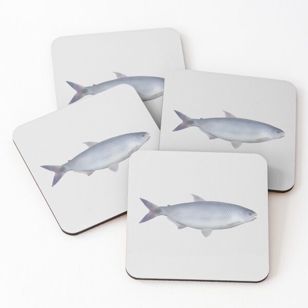 Item preview, Pirapitinga designed and sold by fishfolkart.