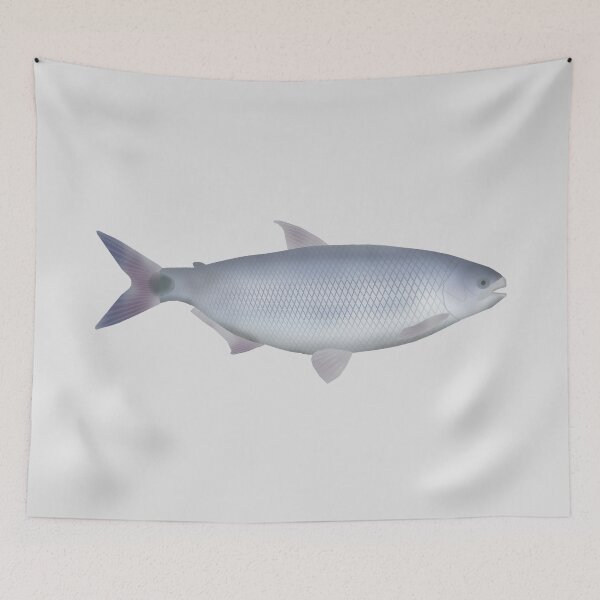 Item preview, Pirapitinga designed and sold by fishfolkart.