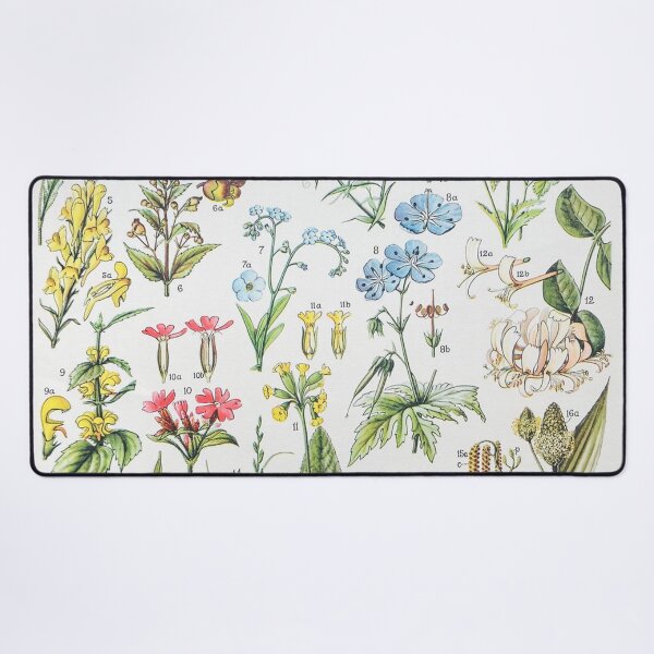 Item preview, Vintage Botanical Wall Art, Pollination of Flowers Print, Antique Wildflower Study Plate designed and sold by RickE.