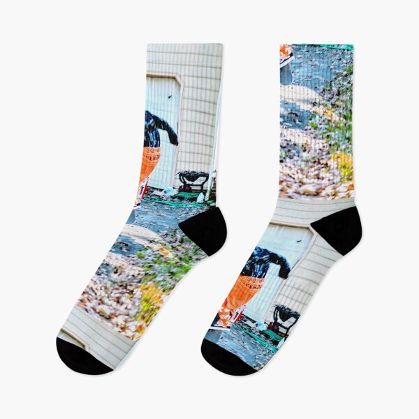 Item preview, VOLS SKATE! by Adam Moyer designed and sold by thaddeus & crimson, Adam Moyer.