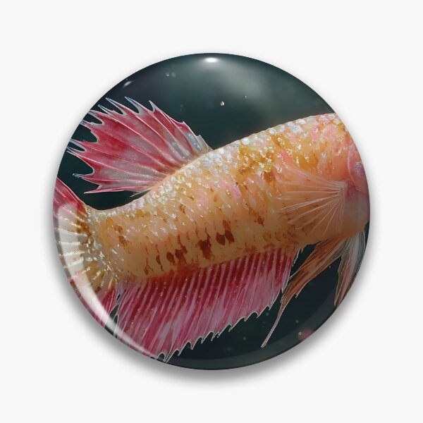Item preview, Betta in aquarium designed and sold by ScienceRex.