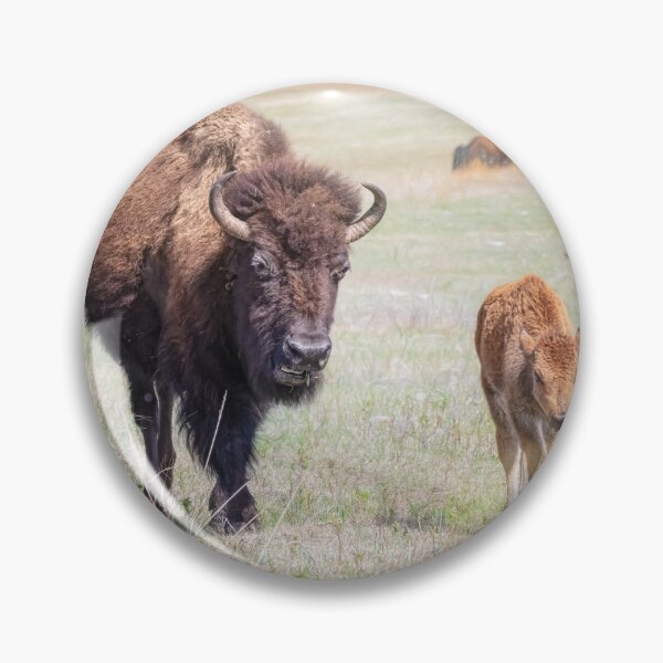 Item preview, Bison Herd in Custer State Park SD 2 designed and sold by PhotoArt by Joan Carroll.