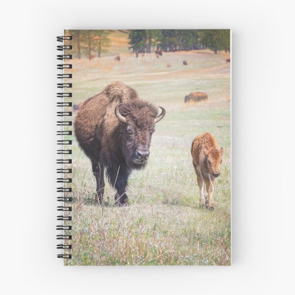 Item preview, Bison Herd in Custer State Park SD 2 designed and sold by PhotoArt by Joan Carroll.
