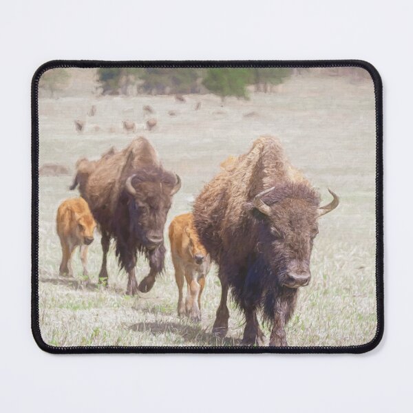 Item preview, Bison Herd in Custer State Park SD Artistic designed and sold by PhotoArt by Joan Carroll.
