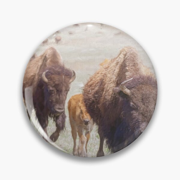 Item preview, Bison Herd in Custer State Park SD Artistic designed and sold by PhotoArt by Joan Carroll.