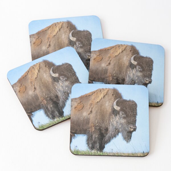 Item preview, Majestic Bison on a Hilltop TRNP designed and sold by PhotoArt by Joan Carroll.