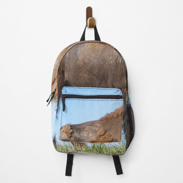 Item preview, Majestic Bison on a Hilltop TRNP designed and sold by PhotoArt by Joan Carroll.