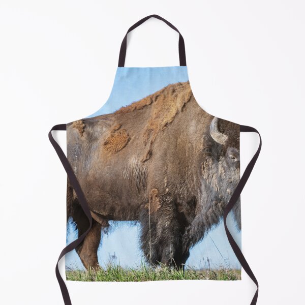 Item preview, Majestic Bison on a Hilltop TRNP designed and sold by PhotoArt by Joan Carroll.