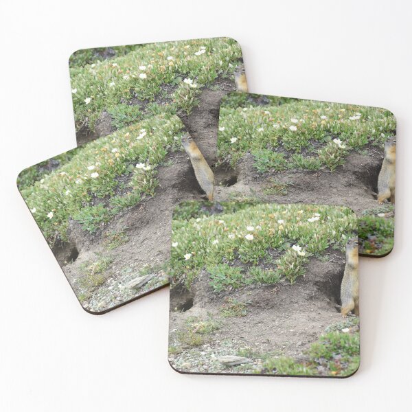 Item preview, Where'd He Go? designed and sold by Photos By Michel.