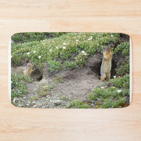 Item preview, Where'd He Go? designed and sold by Photos By Michel.
