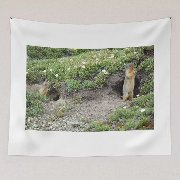 Item preview, Where'd He Go? designed and sold by Photos By Michel.