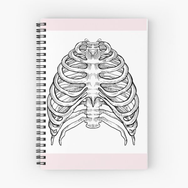 Item preview, skeletal box designed and sold by FASHIONSUSY.