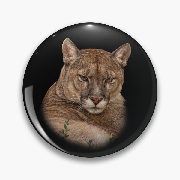 Item preview, Mountain Lion designed and sold by Guardi71.