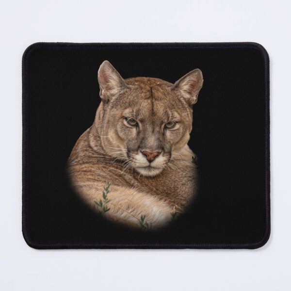 Item preview, Mountain Lion designed and sold by Guardi71.