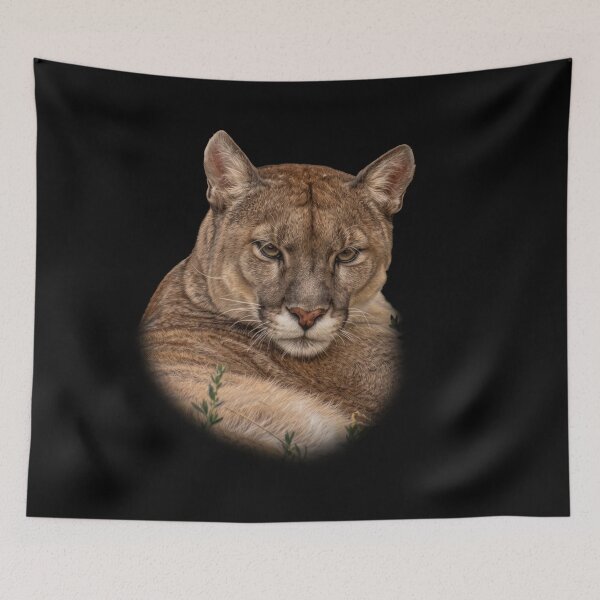 Item preview, Mountain Lion designed and sold by Guardi71.