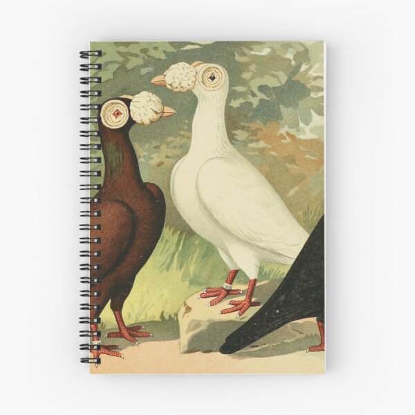 Item preview, Fancy Pigeons Vintage Illustration designed and sold by Asutip.