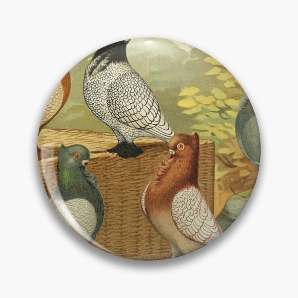 Item preview, Crested Fancy Pigeons with Laced Feathering  designed and sold by Asutip.
