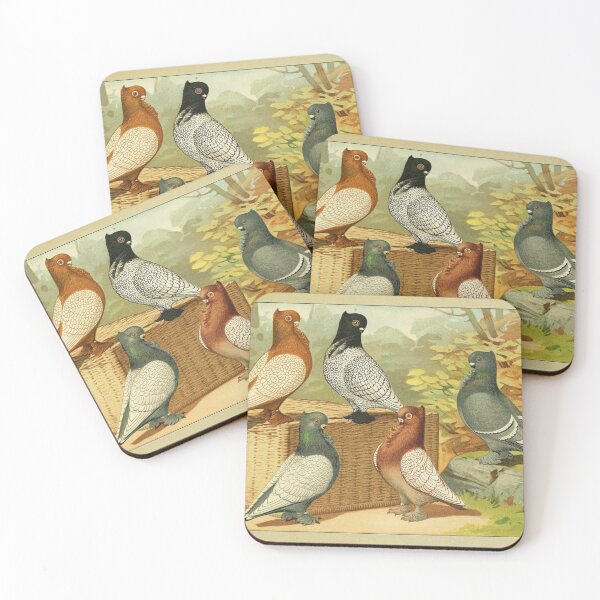 Item preview, Crested Fancy Pigeons with Laced Feathering  designed and sold by Asutip.