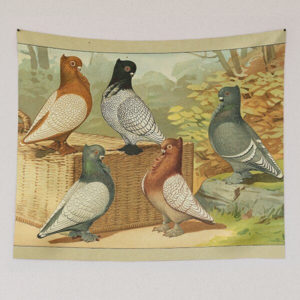 Item preview, Crested Fancy Pigeons with Laced Feathering  designed and sold by Asutip.