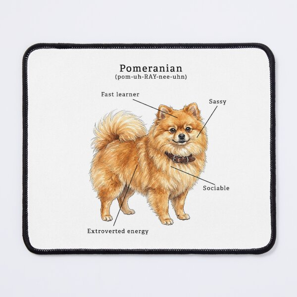 Item preview, Pomeranian Color Illustration designed and sold by SUP-R-Ts.