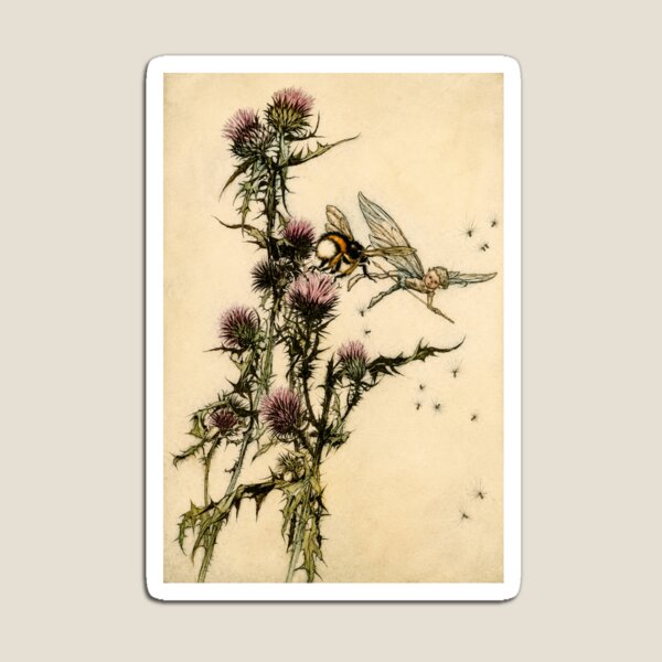 Aperçu de l'œuvre Décoration murale de conte de fées, Impression de la fée du chardon, Le Songe d'une nuit d'été d'Arthur Rackham créée et vendue par RickE.