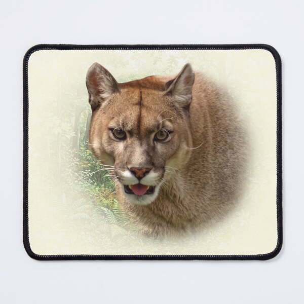 Item preview, Mountain Lion designed and sold by Guardi71.