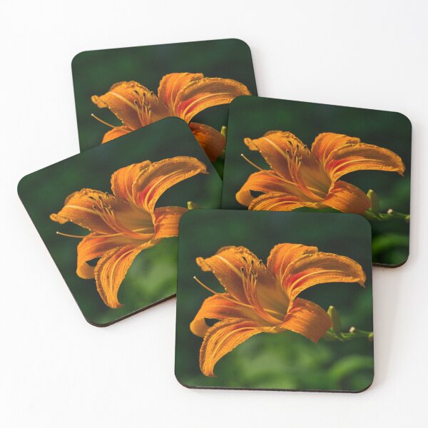 Item preview, Summer Daylily designed and sold by TheeForestFox Shop.