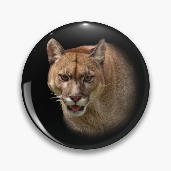 Item preview, Mountain Lion designed and sold by Guardi71.