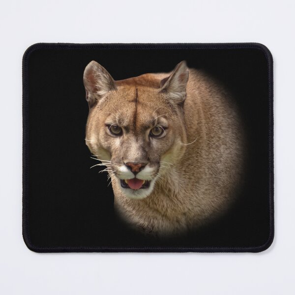 Item preview, Mountain Lion designed and sold by Guardi71.