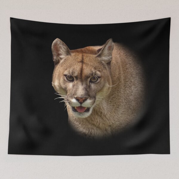 Item preview, Mountain Lion designed and sold by Guardi71.
