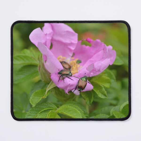 Item preview, Beetles on Pink Flower designed and sold by EmilySutin.