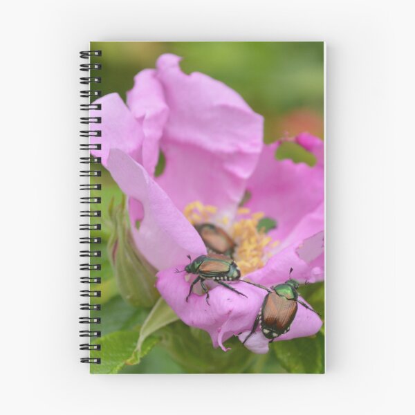 Item preview, Beetles on Pink Flower designed and sold by EmilySutin.