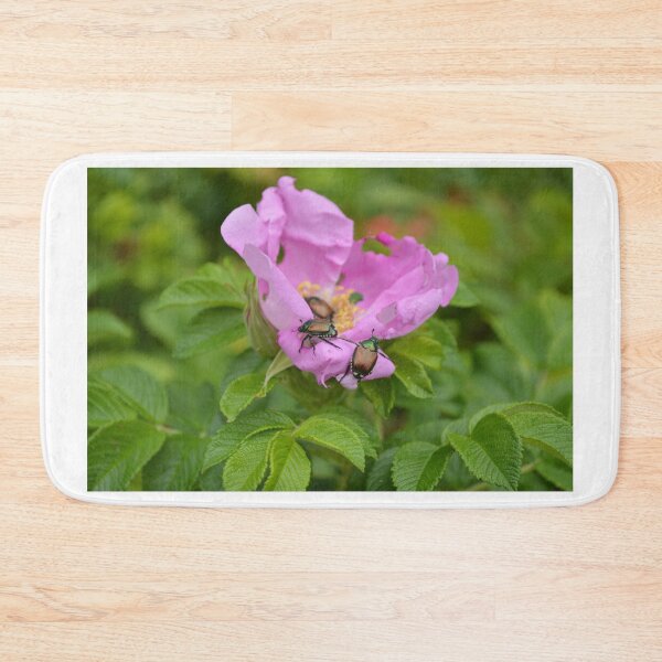 Item preview, Beetles on Pink Flower designed and sold by EmilySutin.