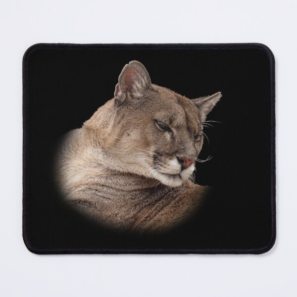Item preview, Mountain Lion designed and sold by Guardi71.